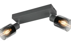 Takspot Med 2 Lampor-Reality Cadiz Spotlight 2-delad E14 antracit/förkromad