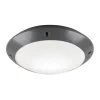 Badrumslampor Tak-Reality Camaro Plafond 26cm E27 antracit IP54