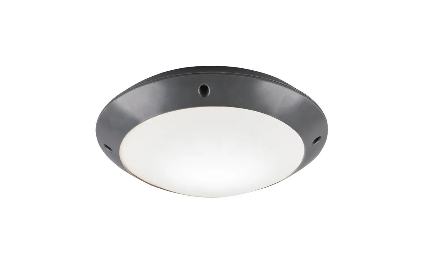 Badrumslampor Tak-Reality Camaro Plafond 26cm E27 antracit IP54