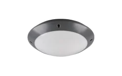 Badrumslampor Tak-Reality Camaro Plafond 26cm E27 antracit IP54