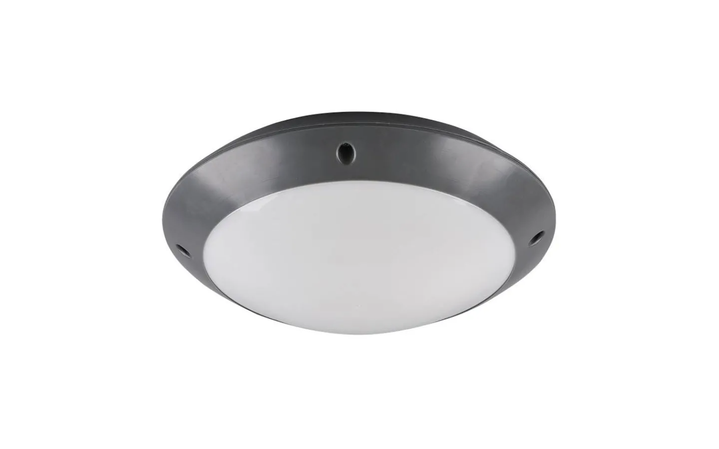Badrumslampor Tak-Reality Camaro Plafond 26cm E27 antracit IP54