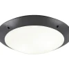 Badrumslampor Tak < Reality Camaro Plafond 33cm 2xE27 antracit IP54