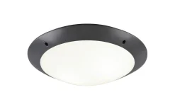 Badrumslampor Tak < Reality Camaro Plafond 33cm 2xE27 antracit IP54