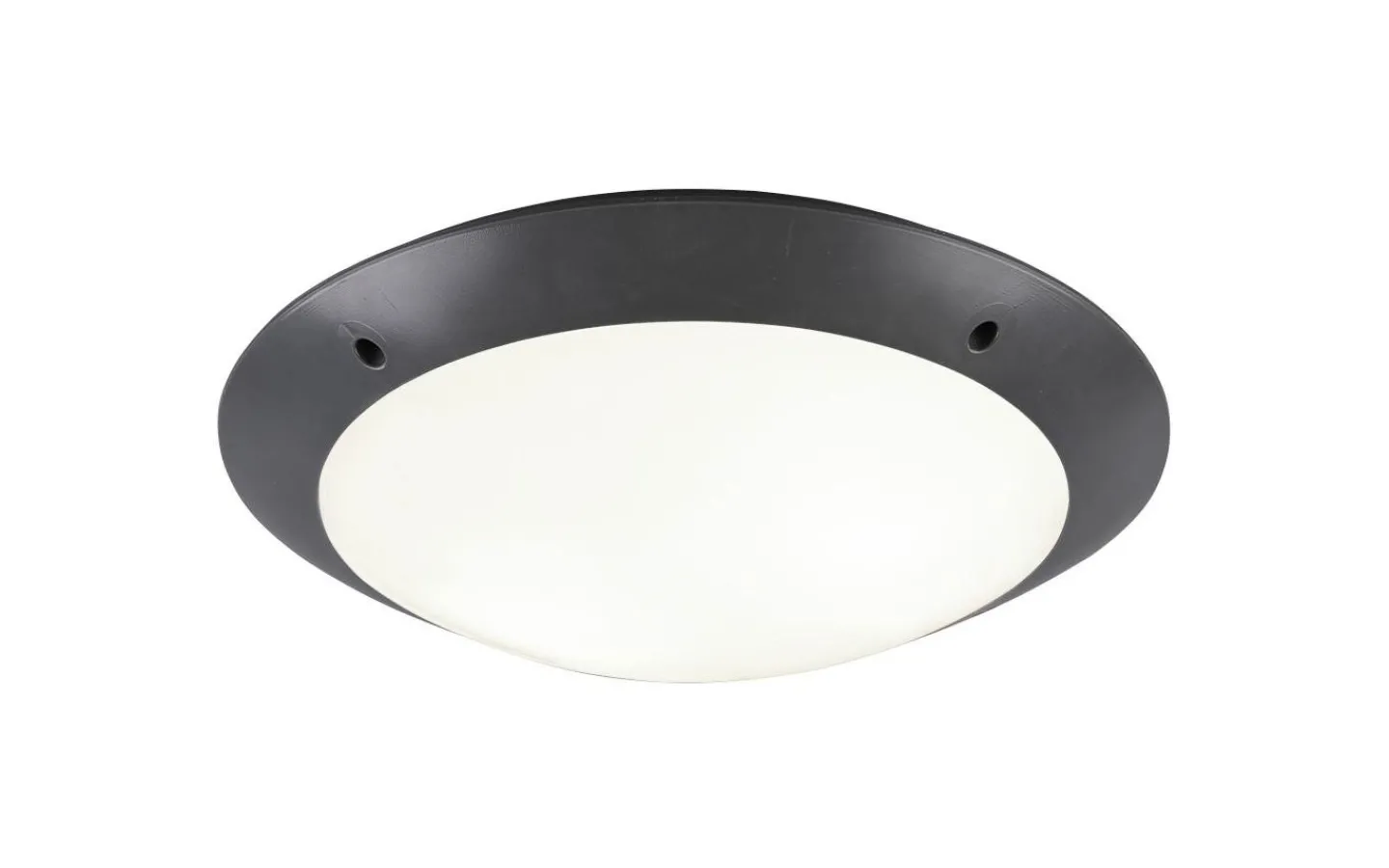 Badrumslampor Tak < Reality Camaro Plafond 33cm 2xE27 antracit IP54