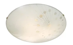 Plafonder < Aneta Capillata Plafond 40cm