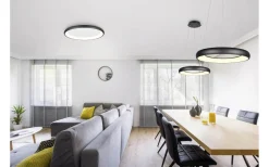 Plafonder < Trio Lighting Cardona Plafond LED 75cm mattsvart