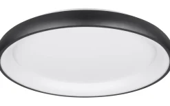 Plafonder < Trio Lighting Cardona Plafond LED 75cm mattsvart