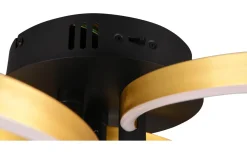 Plafonder < Trio Lighting Caruso Plafond LED matt svart/guld