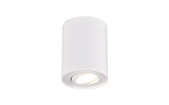 Takspot Med 1 Lampa < Trio Lighting Cookie Takspotlight 1-del GU10 mattvit