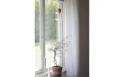 Fönsterlampor < Globen Lighting Dot Fönsterlampa 11cm Klar