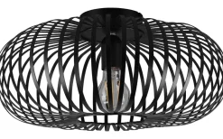 Plafonder-Trio Lighting Johann Plafond 40cm E27 mattsvart