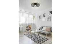 Plafonder-Trio Lighting Johann Plafond 50cm E27 mattsvart