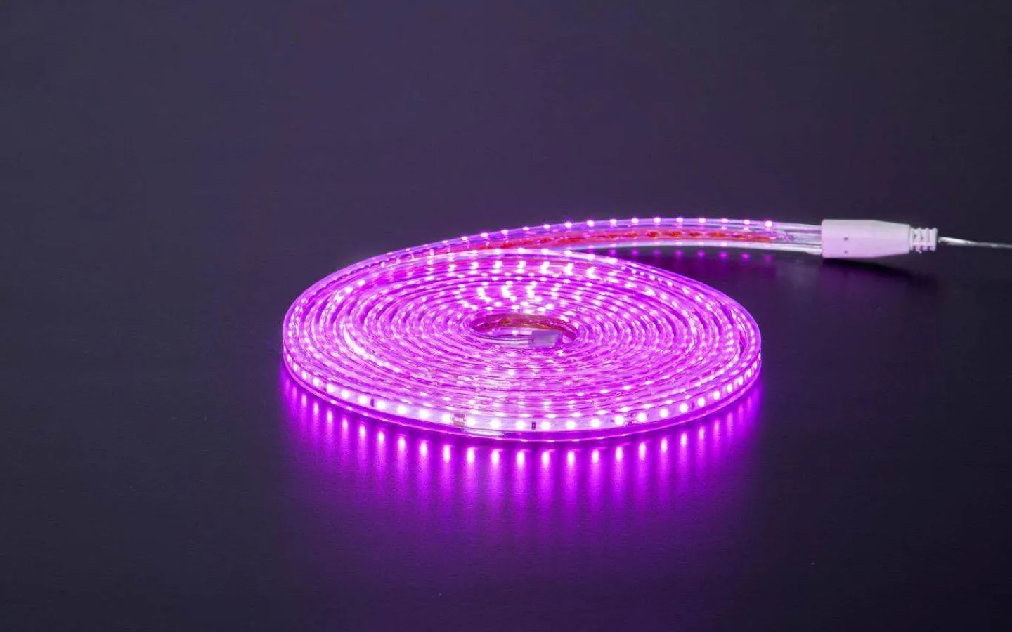 230V Led Slinga|230V Led Slinga-Star Trading LEDstrip Rosa 8,3W 5m