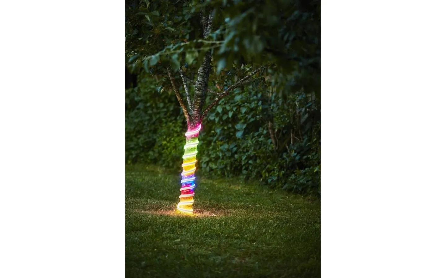 Utomhusdekorationer|230V Led Neonslang-Star Trading Ljusslang FlatNeon Multifärgad 8W 3m IP44