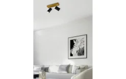 Takspot Med 2 Lampor-Trio Lighting Marley Spotlight 2-delat GU10 matt svart/trä