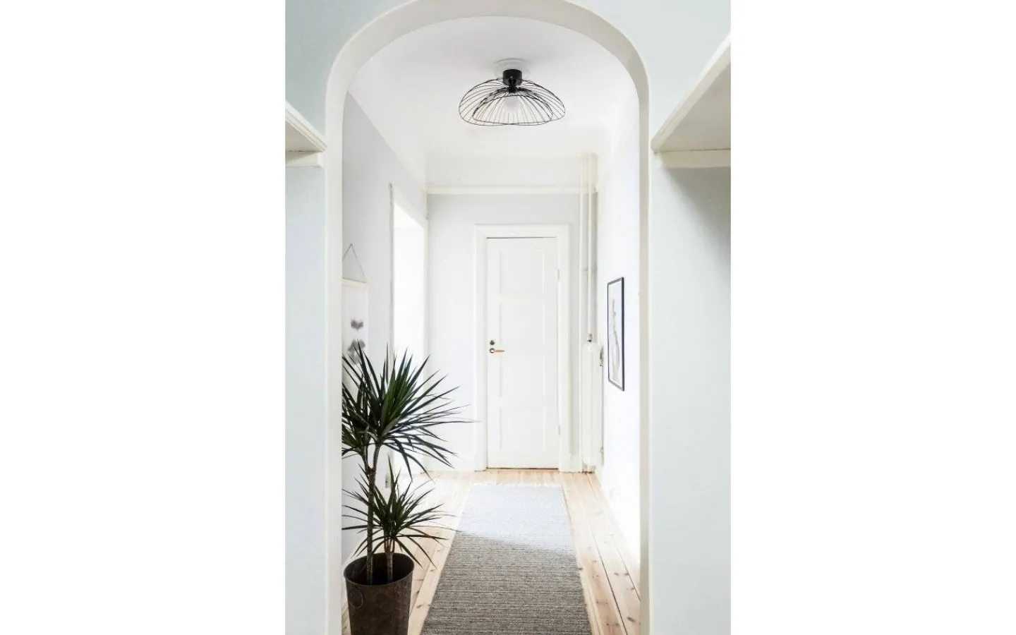 Hall & Trappa|Sovrum-Globen Lighting Ray Plafond/Vägglampa 60cm Svart