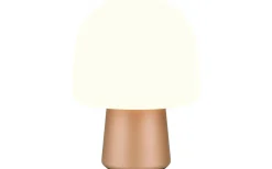 Bordslampor-Trio Lighting Steen Bordslampa E14 kaffebrun/vit