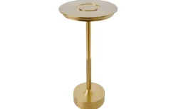 Uppladdningsbara Lampor Inomhus|Bordslampor < ArmaturHantverk Svampen Laddbar Bordslampa 29cm CCT LED Mässing