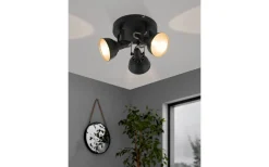 Runda Takspotlights|Takspot Med 3 Lampor-Eglo Thornton Takspotlight 25cm Svart/Guld
