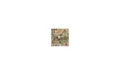 Bordslampor-PR Home Tove Bordslampa 56cm Vilja Rosa