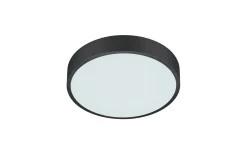 Plafonder-Trio Lighting Waco Plafond LED 30cm mattsvart