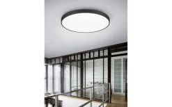 Plafonder < Trio Lighting Waco Plafond LED 75cm mattsvart
