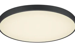 Plafonder < Trio Lighting Waco Plafond LED 75cm mattsvart