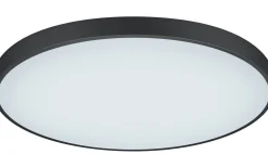 Plafonder < Trio Lighting Waco Plafond LED 75cm mattsvart